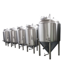 100L 200L 300L Grains Fermenter Production Draft Beer Making Machine Micro Beer Making Machine For Sale